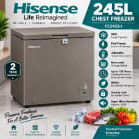 Hisense 245L Chest Freezer – FC245SH